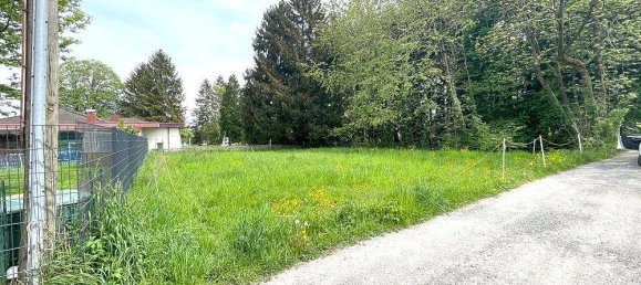  قطعة أرض في Lustenau, Austria 542متر مربع رقم 228153 6