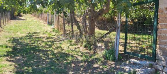 Grundstück in Campagnano di Roma, Italy 30237m², Nr. 277653 4