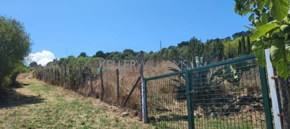 Grundstück in Campagnano di Roma, Italy 30237m², Nr. 277653 5