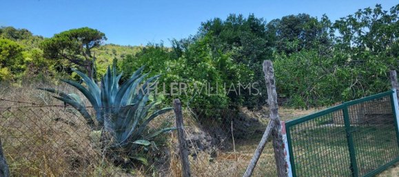 Grundstück in Campagnano di Roma, Italy 30237m², Nr. 277653 9