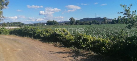 3300m² Land in Vila Nova de Famalicao, Portugal No. 34366 6