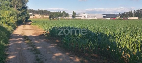 3300m² Land in Vila Nova de Famalicao, Portugal No. 34366 12