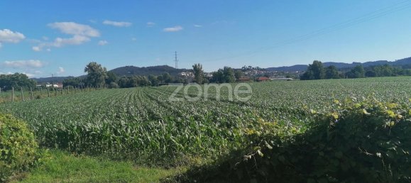 3300m² Land in Vila Nova de Famalicao, Portugal No. 34366 5