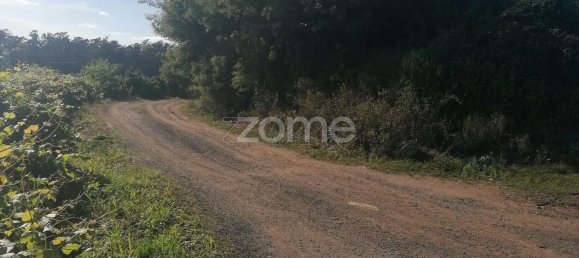 3300m² Land in Vila Nova de Famalicao, Portugal No. 34366 4