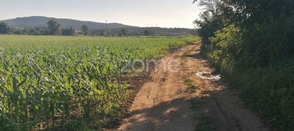 3300m² Land in Vila Nova de Famalicao, Portugal No. 34366 15