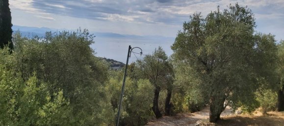 18000m² Hotel in Corfu, Greece No. 3533 3