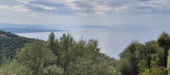 18000m² Hotel in Corfu, Greece No. 3533 5