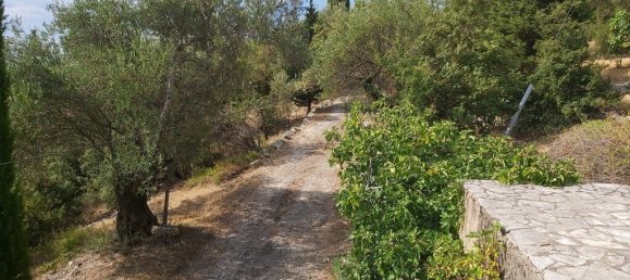 18000m² Hotel in Corfu, Greece No. 3533 8