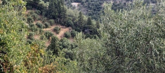 18000m² Hotel in Corfu, Greece No. 3533 30