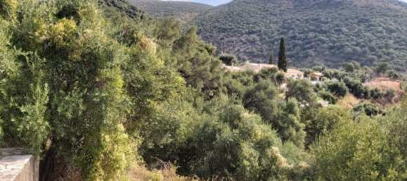 18000m² Hotel in Corfu, Greece No. 3533 7