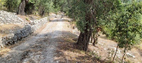 18000m² Hotel in Corfu, Greece No. 3533 16