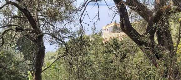 18000m² Hotel in Corfu, Greece No. 3533 12