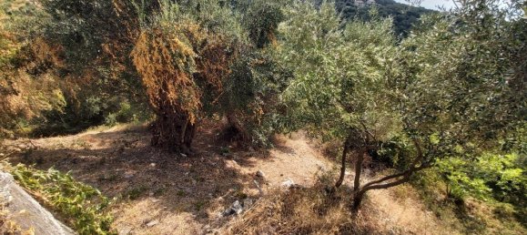 18000m² Hotel in Corfu, Greece No. 3533 22