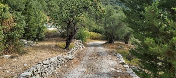 18000m² Hotel in Corfu, Greece No. 3533 14