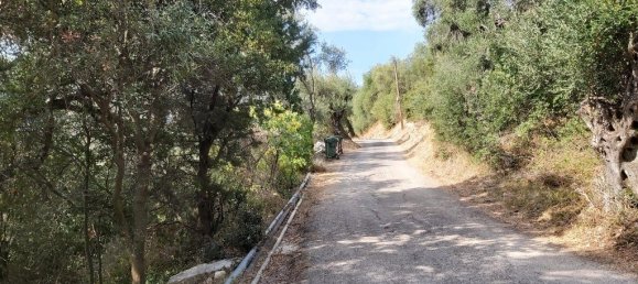 18000m² Hotel in Corfu, Greece No. 3533 10