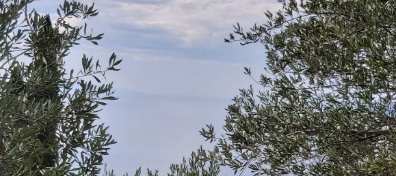 18000m² Hotel in Corfu, Greece No. 3533 13