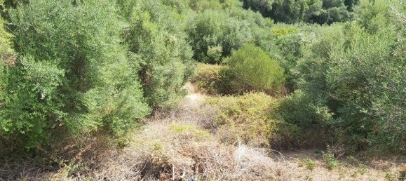 18000m² Hotel in Corfu, Greece No. 3533 23