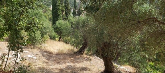 Hotel in Corfu, Greece 18000m², Nr. 3533 17