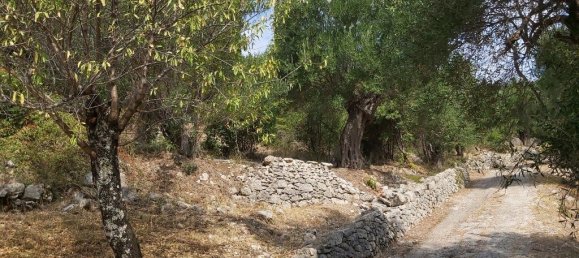 18000m² Hotel in Corfu, Greece No. 3533 18