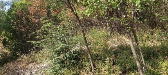 18000m² Hotel in Corfu, Greece No. 3533 29