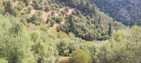 18000m² Hotel in Corfu, Greece No. 3533 26