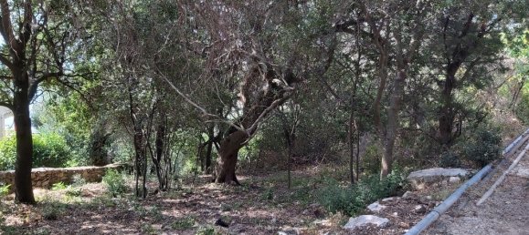 18000m² Hotel in Corfu, Greece No. 3533 9