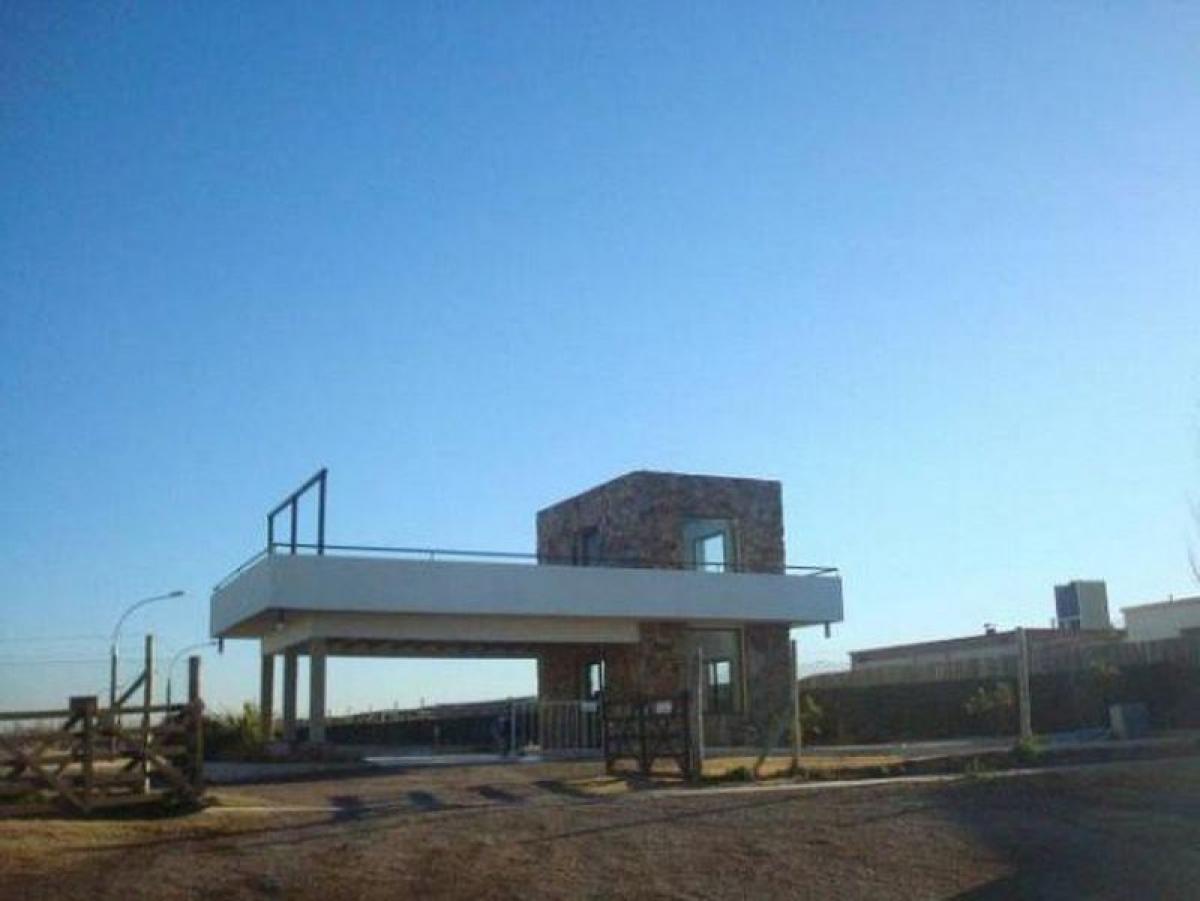  قطعة أرض في Mendoza, Argentina رقم 49688