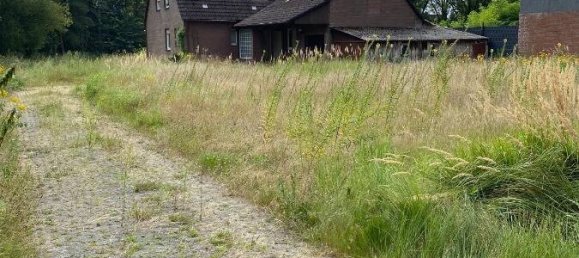 7 rooms House in Gifhorn, Germany No. 326969 2