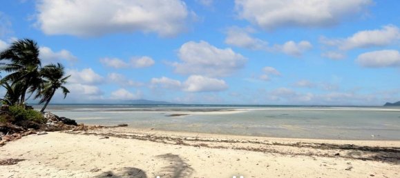  Commercial property in Wiang Sa, Thailand No. 17104 2