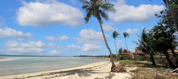  Commercial property in Wiang Sa, Thailand No. 17104 3