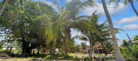  Commercial property in Wiang Sa, Thailand No. 17104 5