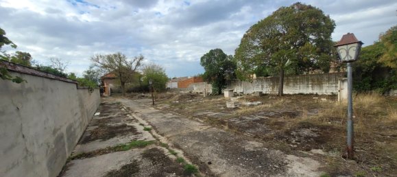 4 bedrooms House in Morales del Vino, Spain No. 81883 16