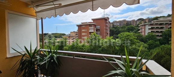 2 bedrooms Apartment in Genoa, Italy No. 301610 12