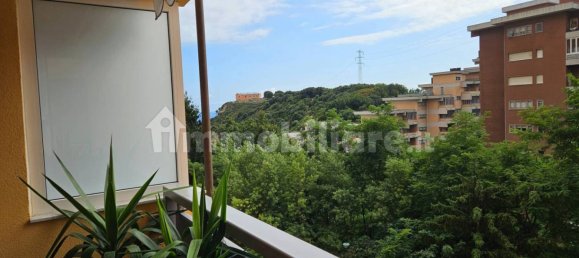 2 bedrooms Apartment in Genoa, Italy No. 301610 6