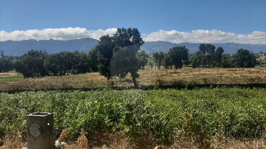  Land in Tondela, Portugal No. 269946
