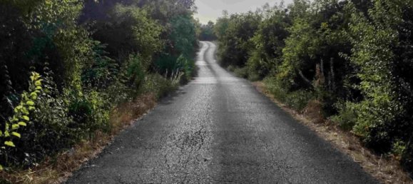 8106m² Hotel in Danilovgrad, Montenegro No. 266 3