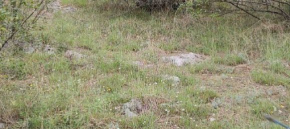 8106m² Hotel in Danilovgrad, Montenegro No. 266 6