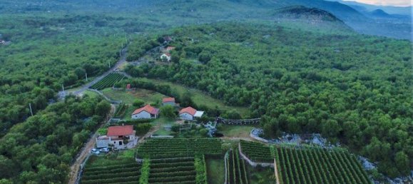 8106m² Hotel in Danilovgrad, Montenegro No. 266 5