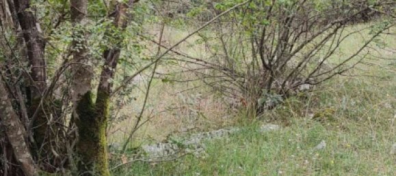 8106m² Hotel in Danilovgrad, Montenegro No. 266 8