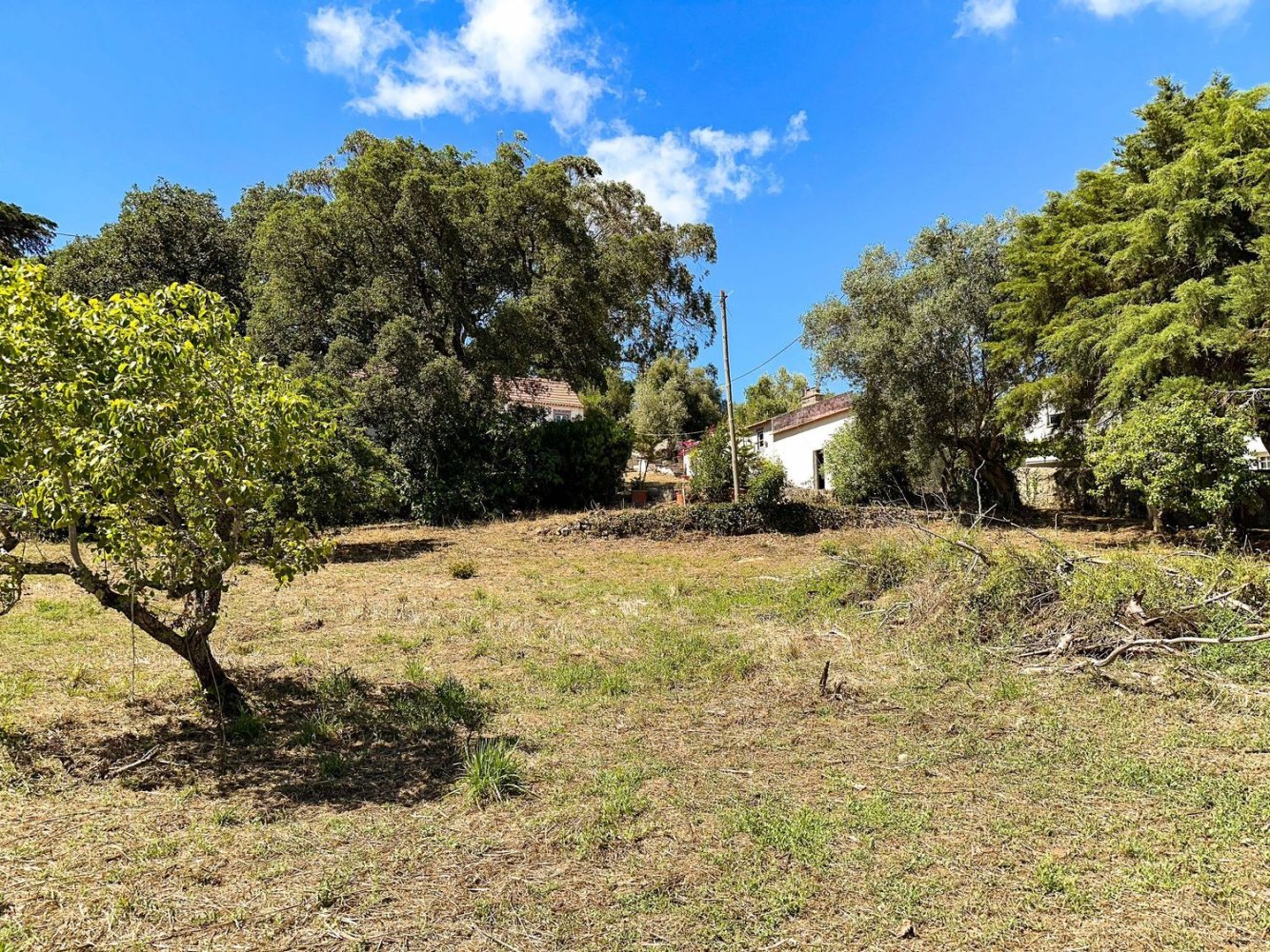 Grundstück in Mafra, Portugal 11248m², Nr. 133075