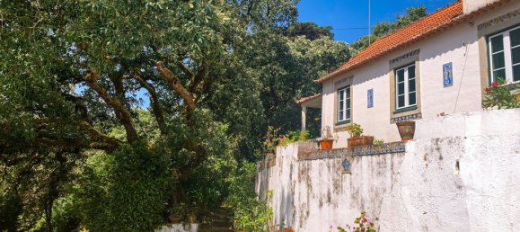 Grundstück in Mafra, Portugal 11248m², Nr. 133075 8