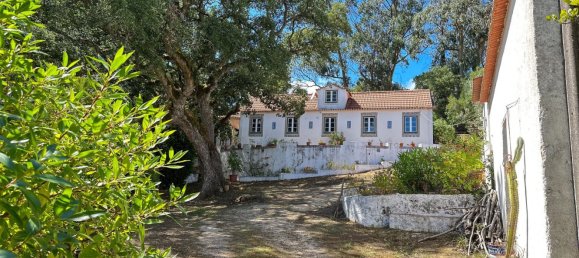 Grundstück in Mafra, Portugal 11248m², Nr. 133075 24