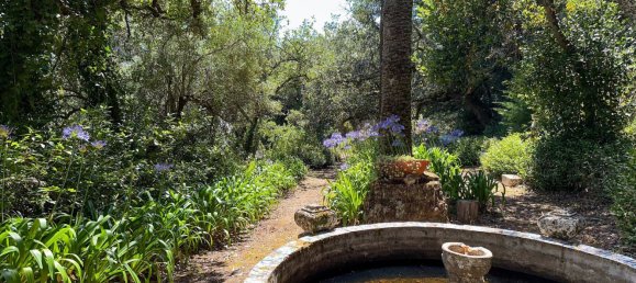 Grundstück in Mafra, Portugal 11248m², Nr. 133075 6