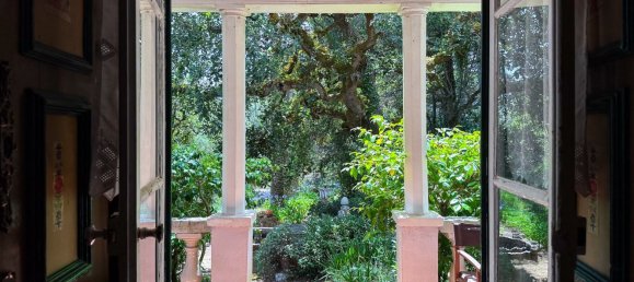 Grundstück in Mafra, Portugal 11248m², Nr. 133075 17