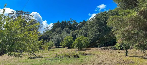 Grundstück in Mafra, Portugal 11248m², Nr. 133075 11