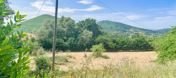 Grundstück in Mafra, Portugal 11248m², Nr. 133075 14