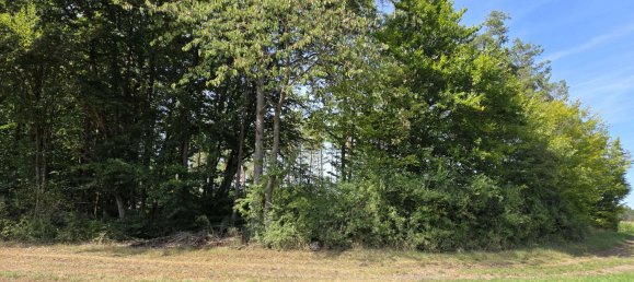 Terreno en Regensburg, Germany No. 266905 3