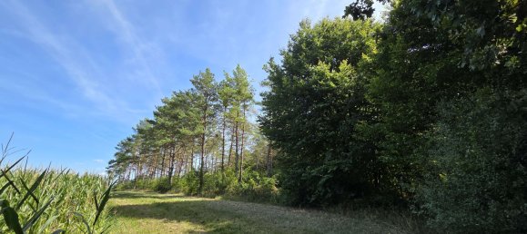 Terreno en Regensburg, Germany No. 266905 2