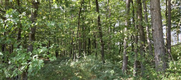 Terreno en Regensburg, Germany No. 266905 6