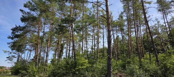 Terreno en Regensburg, Germany No. 266905 4